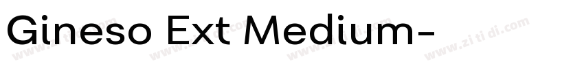 Gineso Ext Medium字体转换